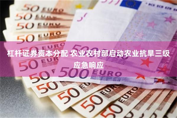 杠杆证券资本分配 农业农村部启动农业抗旱三级应急响应