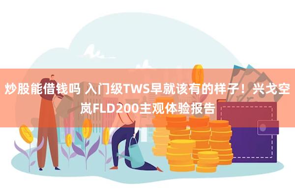 炒股能借钱吗 入门级TWS早就该有的样子！兴戈空岚FLD200主观体验报告
