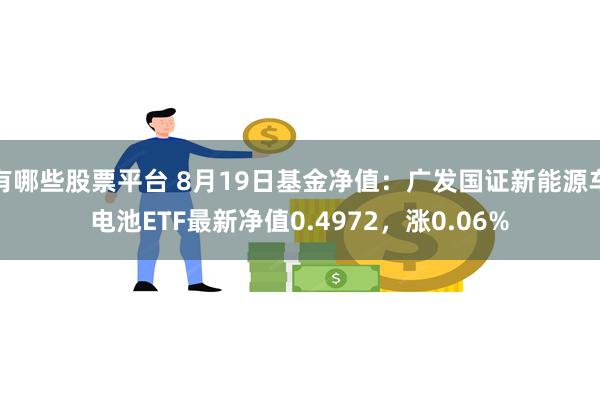 有哪些股票平台 8月19日基金净值：广发国证新能源车电池ETF最新净值0.4972，涨0.06%