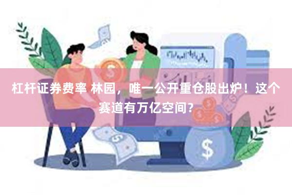杠杆证券费率 林园，唯一公开重仓股出炉！这个赛道有万亿空间？