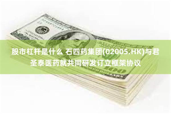 股市杠杆是什么 石四药集团(02005.HK)与君圣泰医药就共同研发订立框架协议