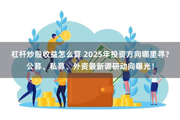 杠杆炒股收益怎么算 2025年投资方向哪里寻？公募、私募、外资最新调研动向曝光！