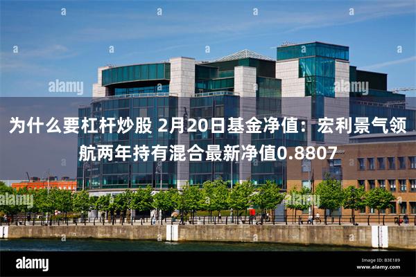 为什么要杠杆炒股 2月20日基金净值：宏利景气领航两年持有混合最新净值0.8807