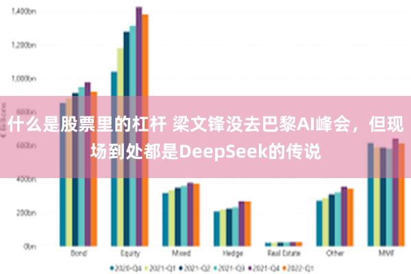 什么是股票里的杠杆 梁文锋没去巴黎AI峰会，但现场到处都是DeepSeek的传说