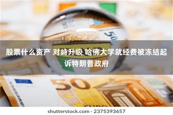 股票什么资产 对峙升级 哈佛大学就经费被冻结起诉特朗普政府