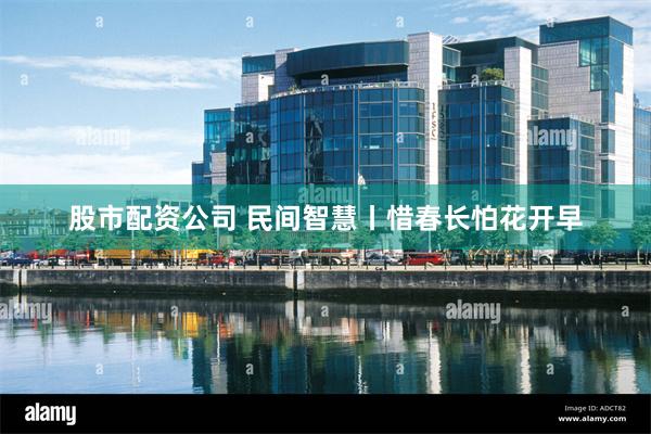 股市配资公司 民间智慧丨惜春长怕花开早