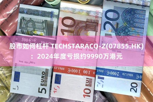 股市如何杠杆 TECHSTARACQ-Z(07855.HK)：2024年度亏损约9990万港元