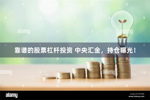 靠谱的股票杠杆投资 中央汇金，持仓曝光！