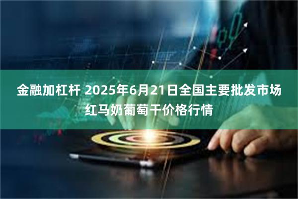 金融加杠杆 2025年6月21日全国主要批发市场红马奶葡萄干价格行情